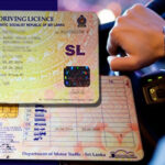 1667218406-driving-licenses-6