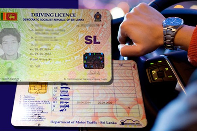 1667218406-driving-licenses-6