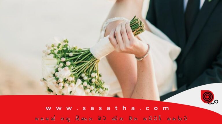 Copy of www.sasatha.com (1200 × 1000 px) (Website)